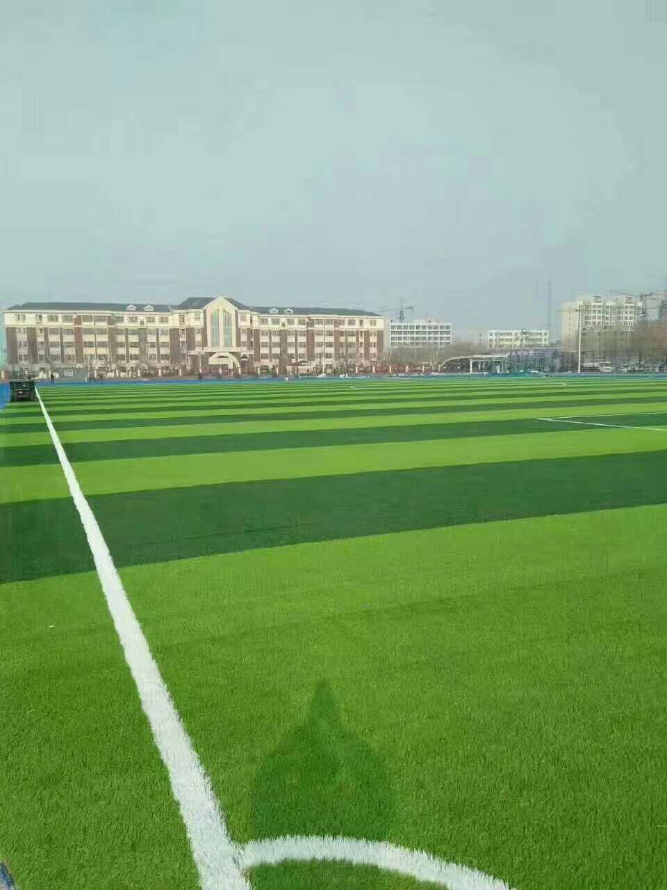 东莞市彩色epdm颗粒仿真草坪 - 一站式服务